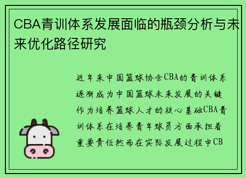 CBA青训体系发展面临的瓶颈分析与未来优化路径研究