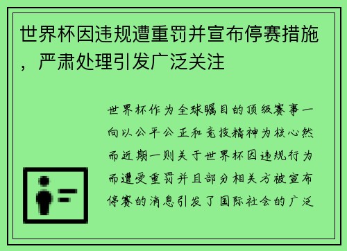 世界杯因违规遭重罚并宣布停赛措施，严肃处理引发广泛关注